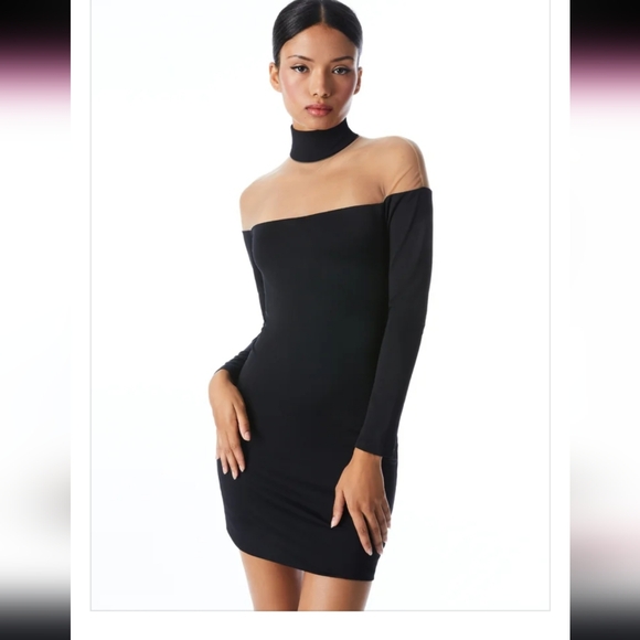 Alice + Olivia Dresses & Skirts - NWT $350 Alice & Olivia Zahra Sheer Turneck Mini Dress